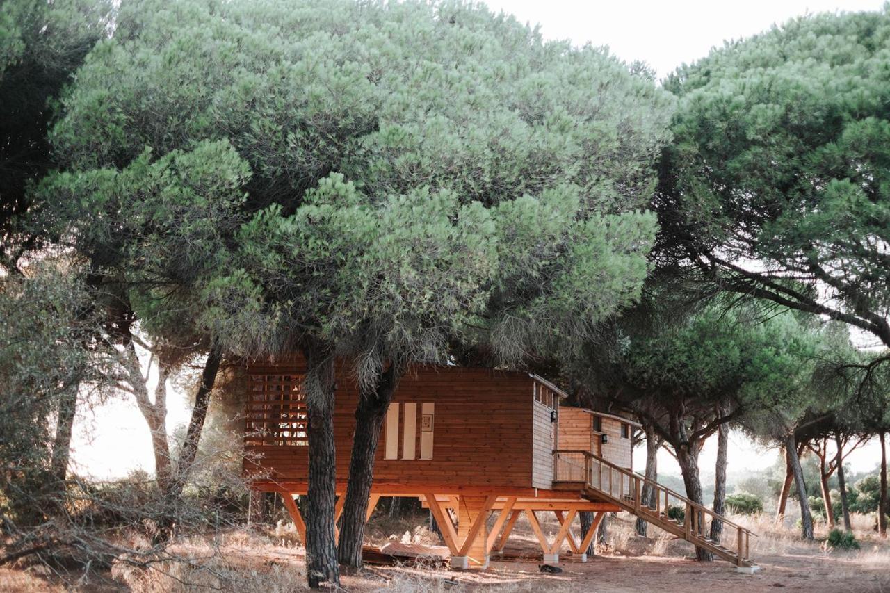 Micielo - Baumhaeuser Vejer de la Frontera Exterior foto